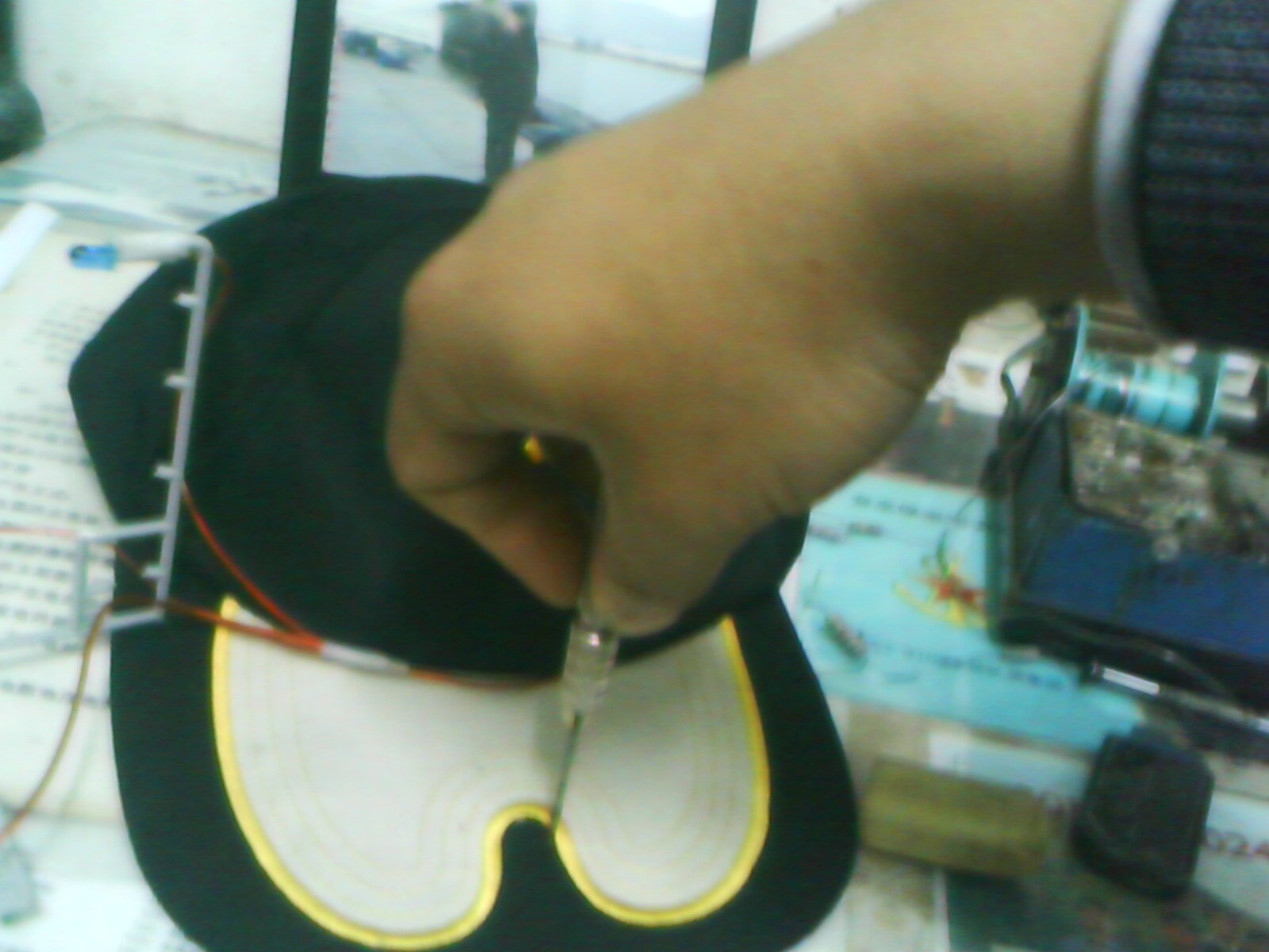 IMG0373A.jpg
