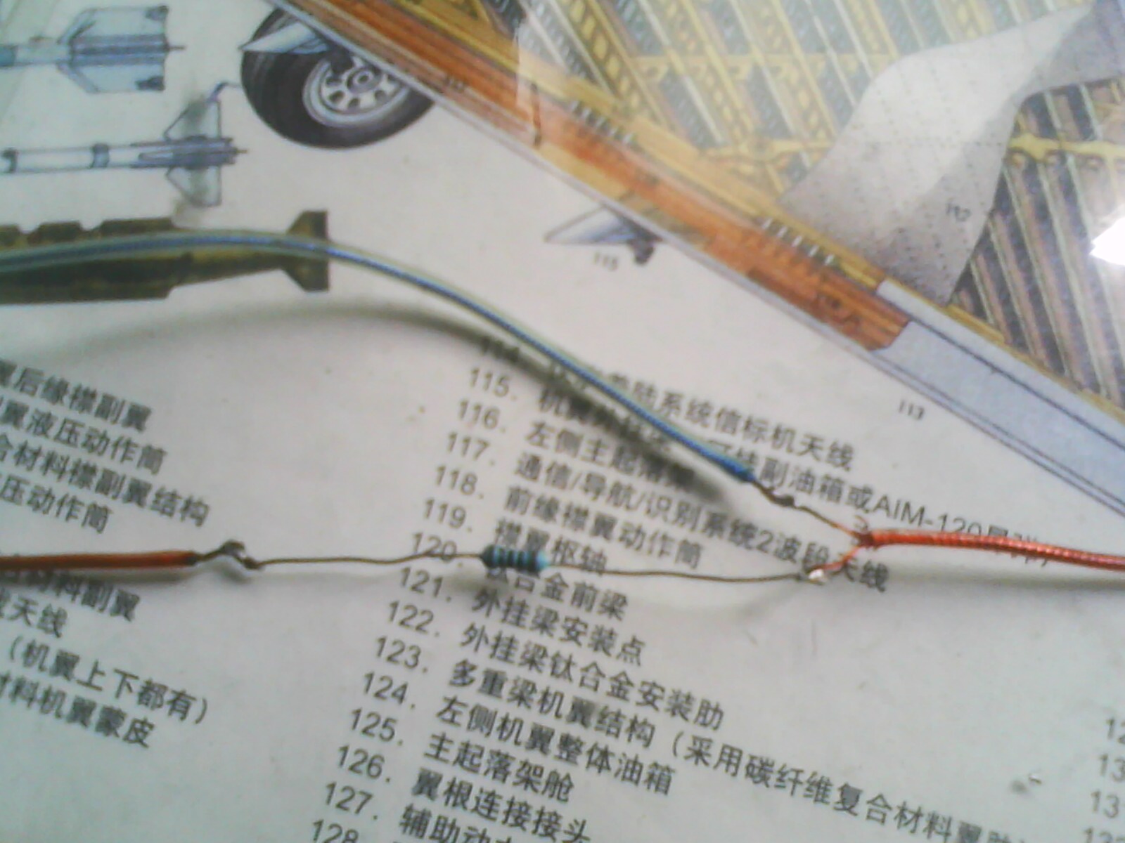 IMG0375A.jpg