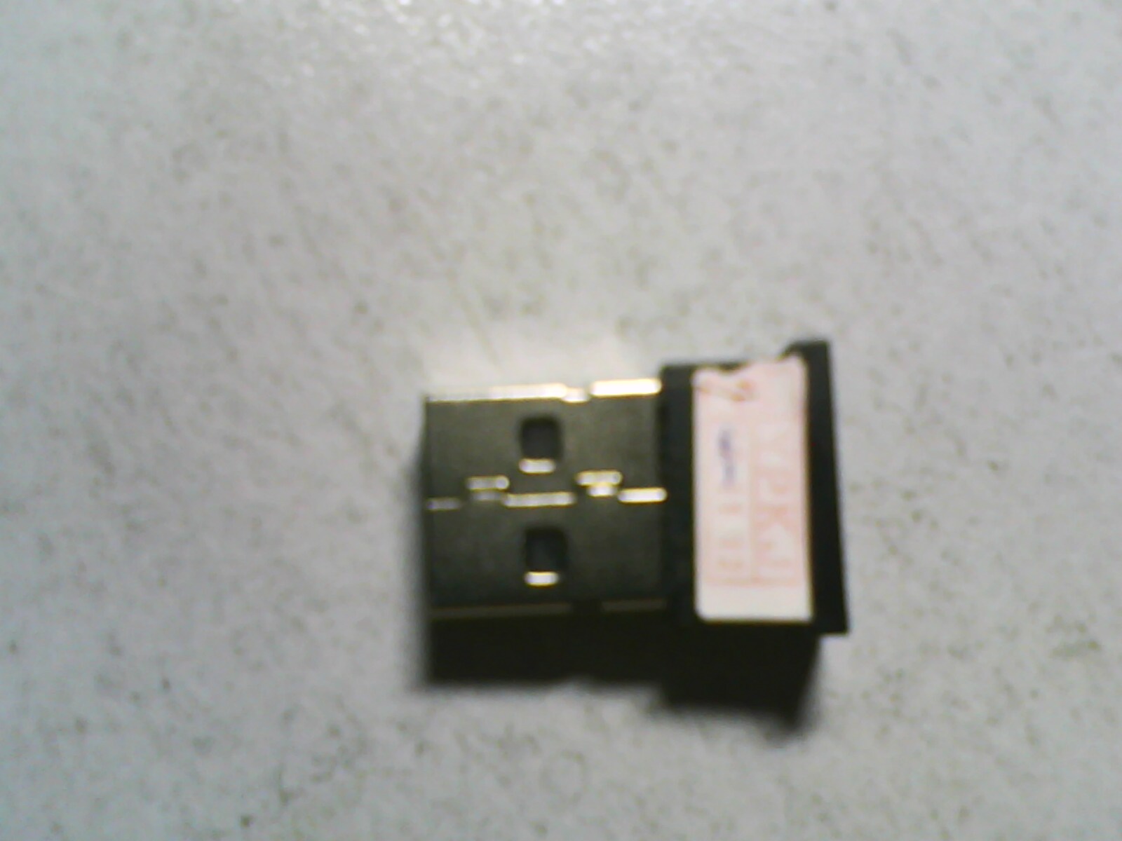 IMG0384A.jpg