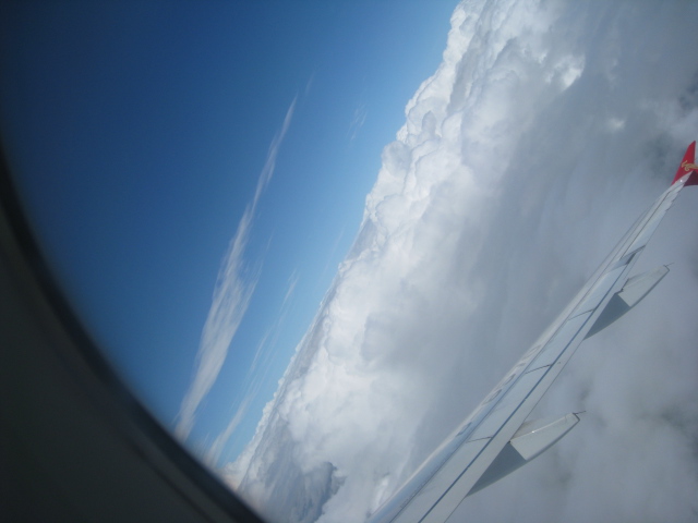 Ƭ 020.jpg