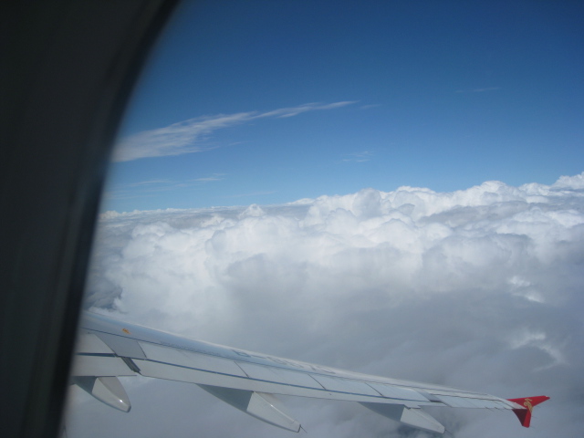 Ƭ 021.jpg