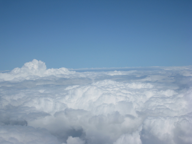 Ƭ 029.jpg