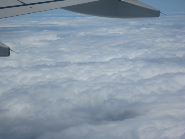 Ƭ 033.jpg
