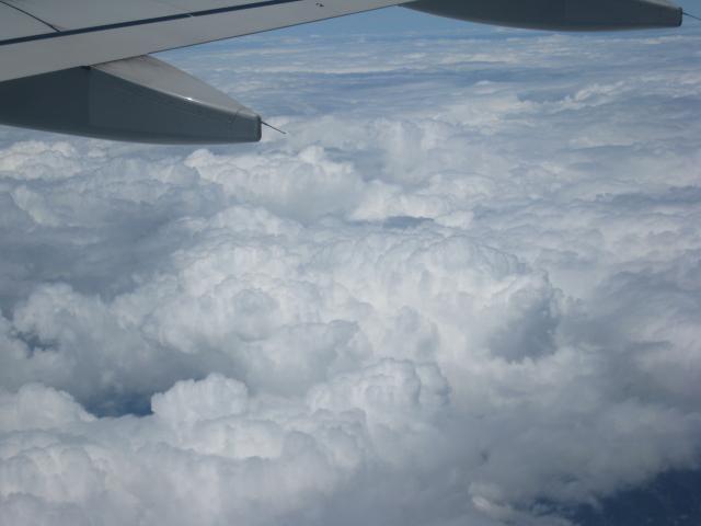 Ƭ 036.jpg