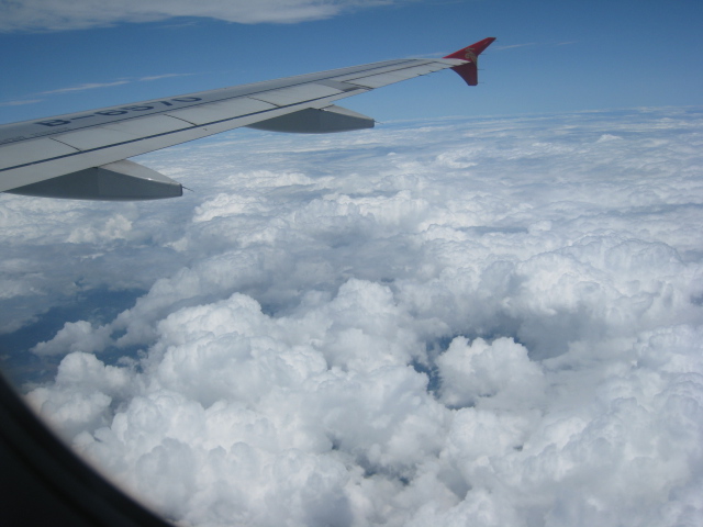 Ƭ 037.jpg