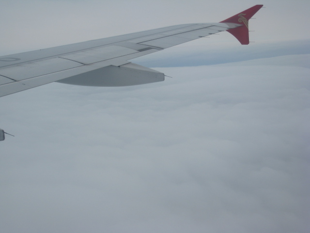 Ƭ 065.jpg