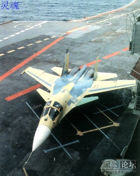 530x665_73767.jpg