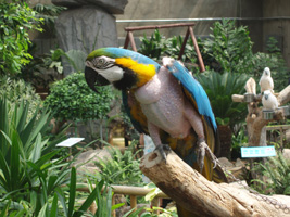 P101005ee7.jpg