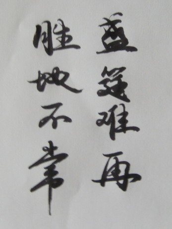S73F1323_2.jpg