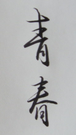 S73F1322_3.jpg