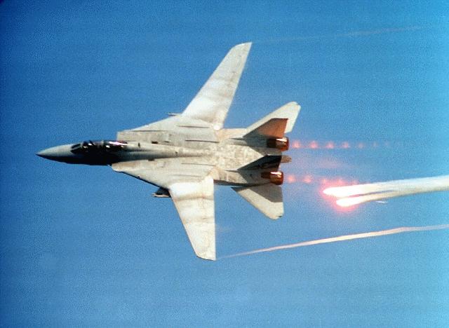 f14 1.jpg