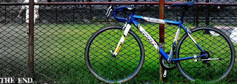 PICT5603.jpg