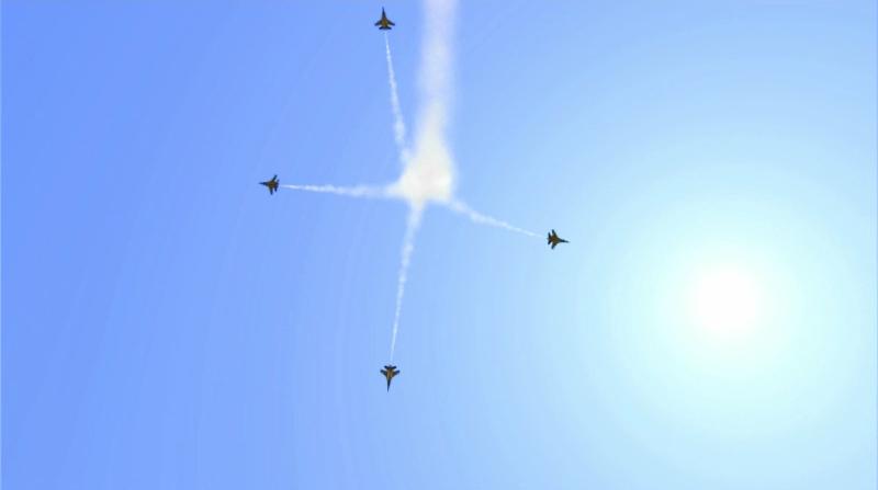 Art of flight 02.JPG