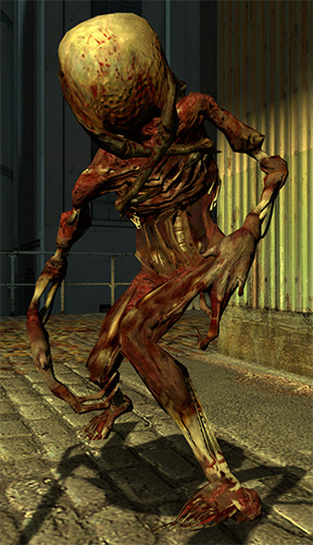 Half-Life_2_fast_zombie.jpg
