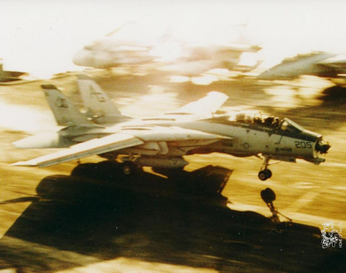 ag205.jpg