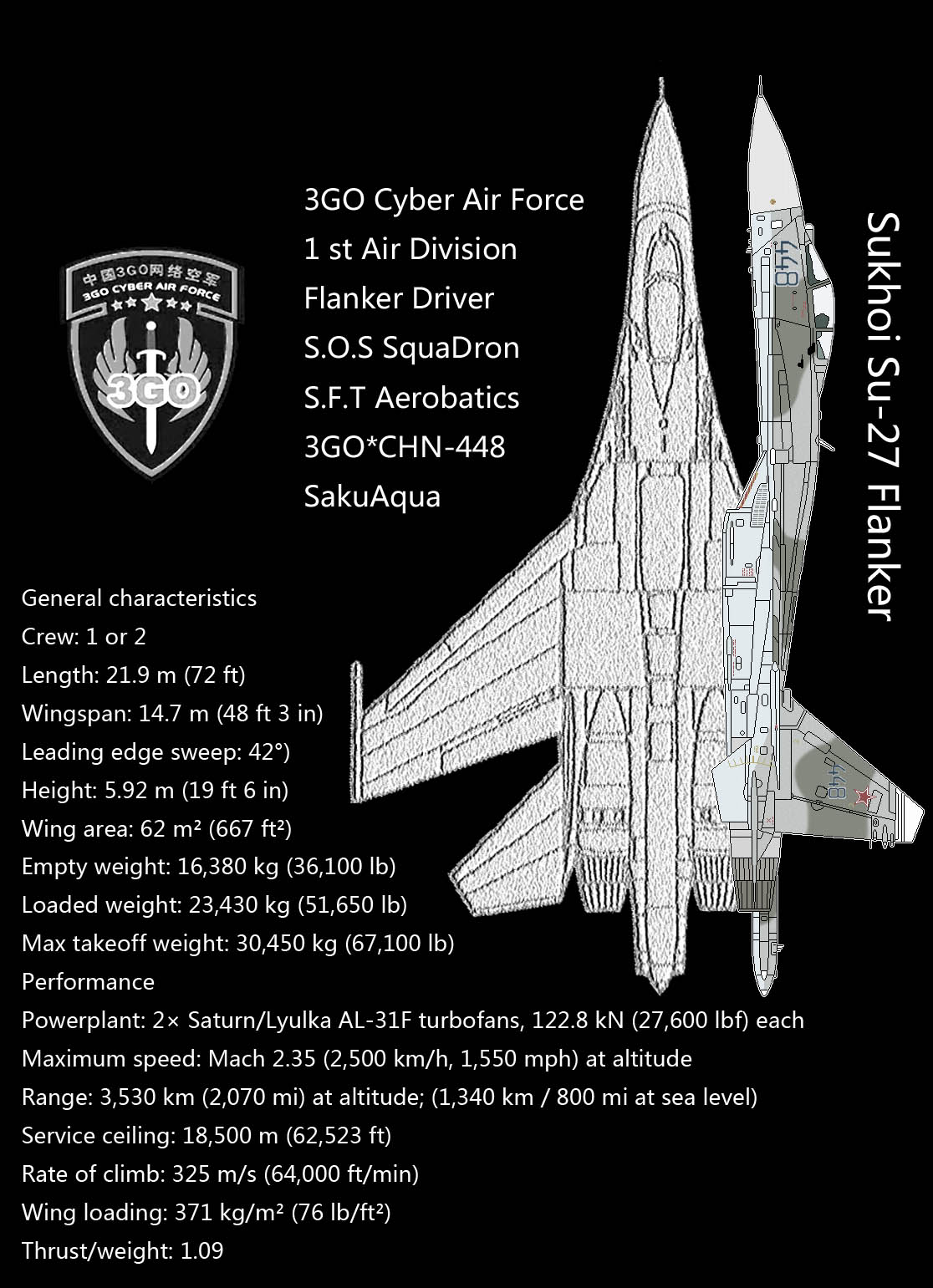 su-27_T.jpg