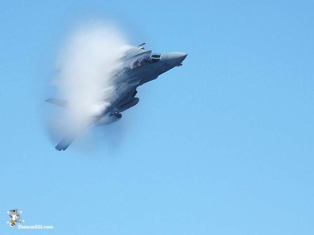 F-14D(17).jpg