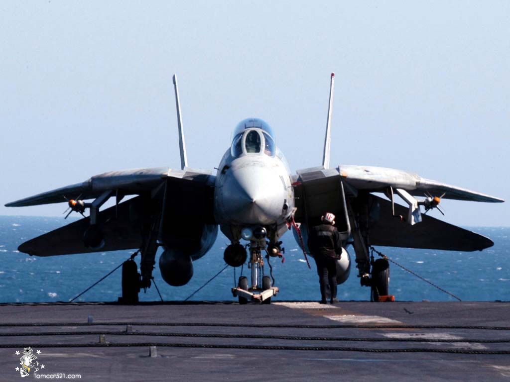 F-14D(19).jpg