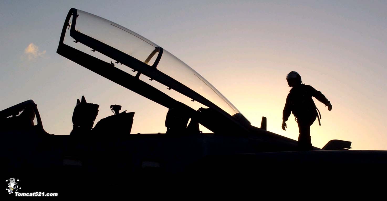 F-14D(15).jpg