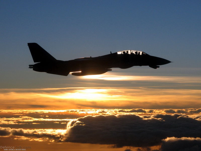F-14D(10).jpg