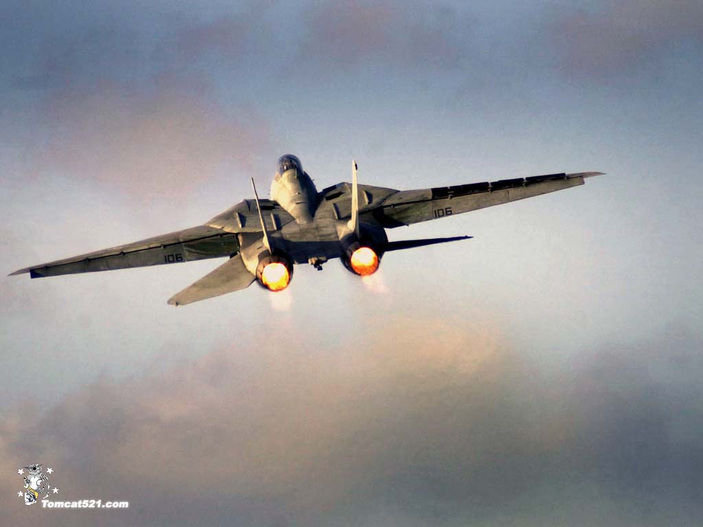 F-14(9).jpg