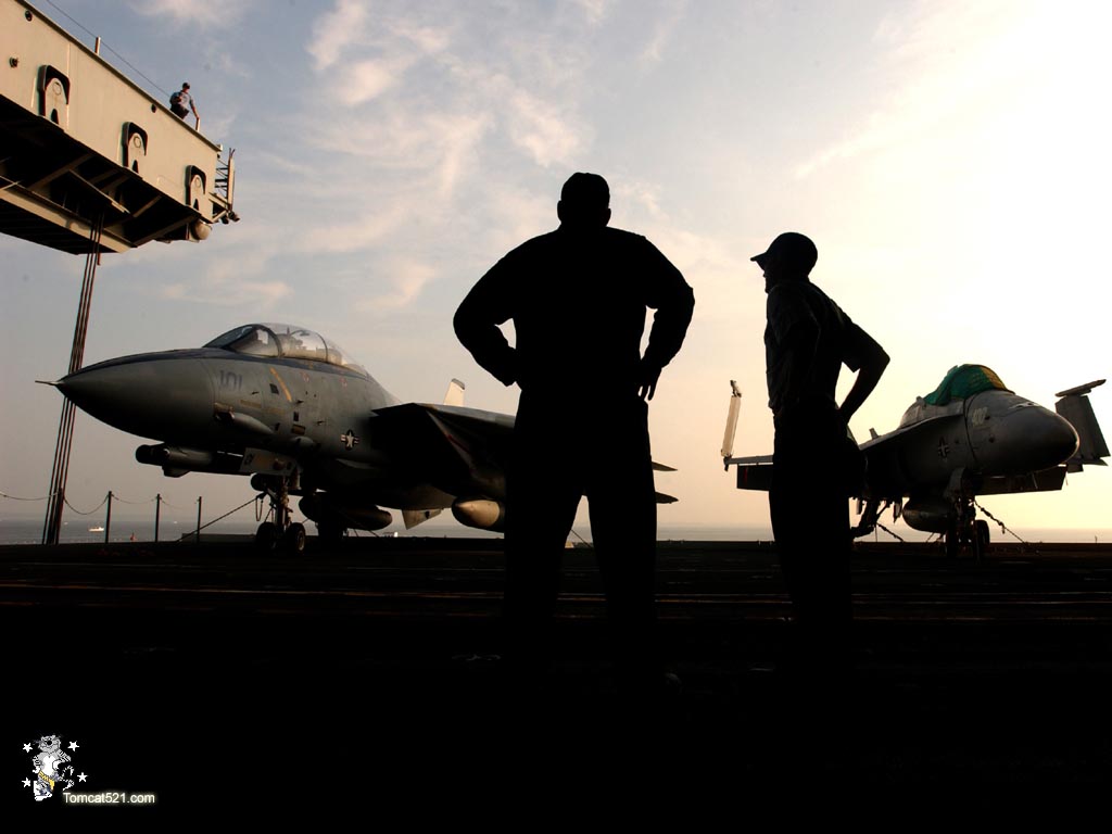 F-14D_101.jpg