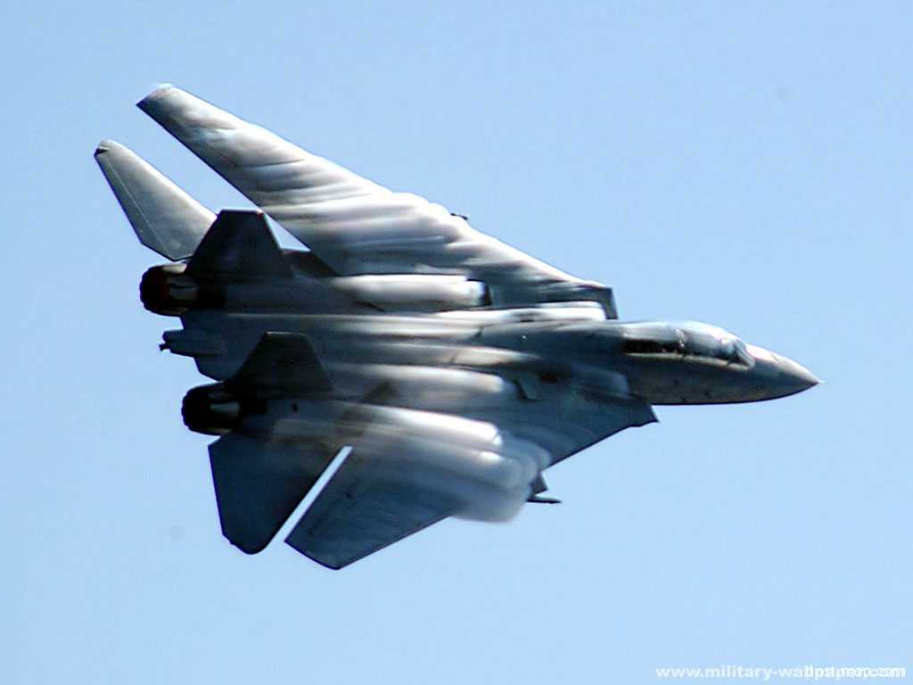 F-14D(12).jpg