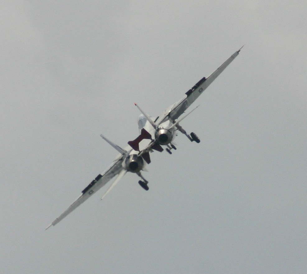 VF-11_F-14B_101(3).jpg