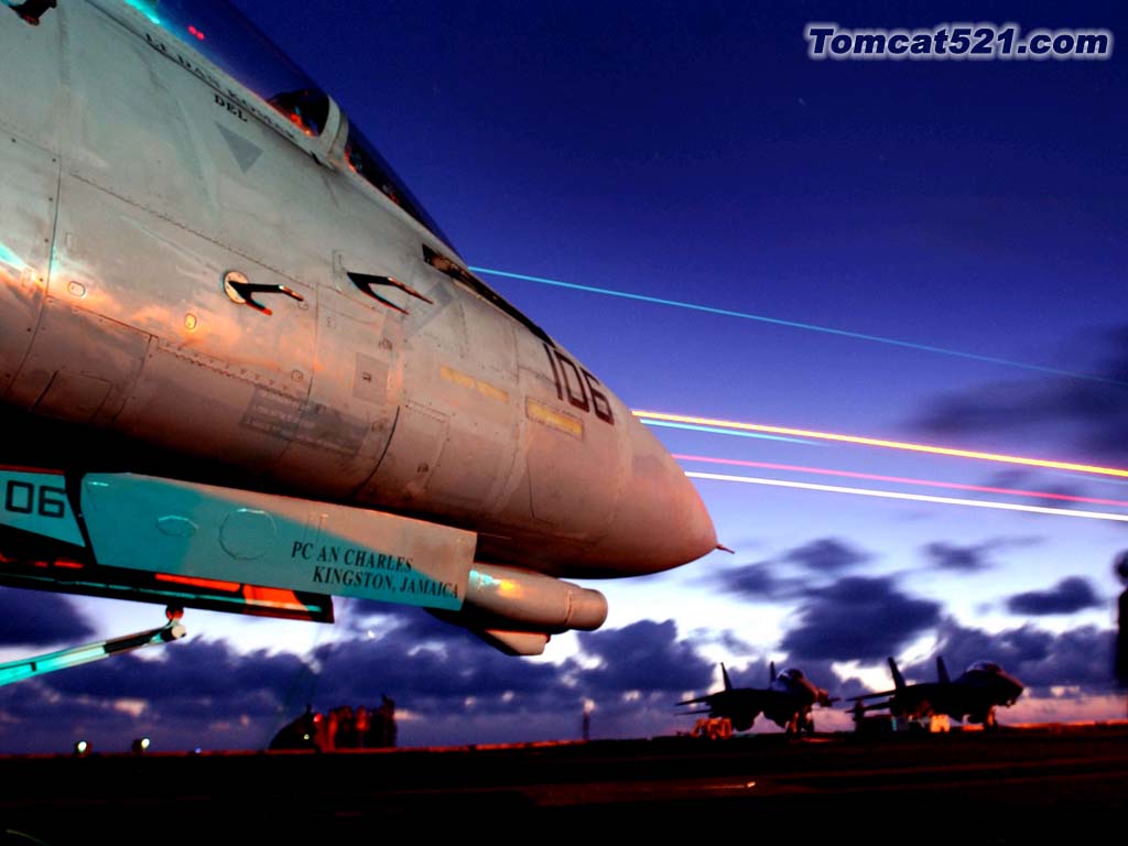 F-14D(16).jpg