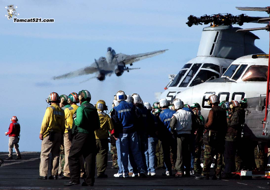 F-14(8).jpg
