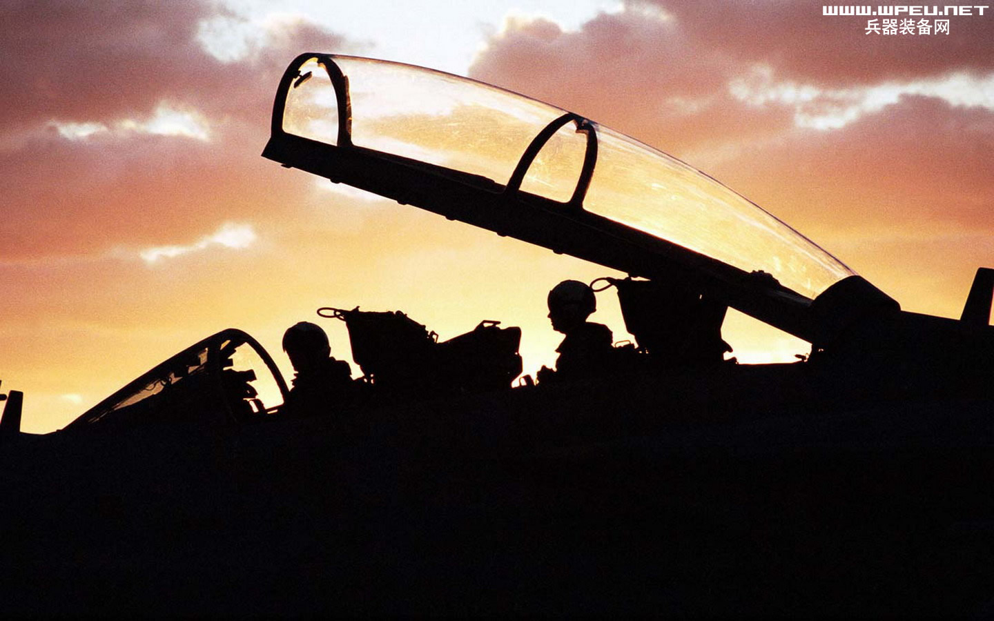 F-14(1).jpg