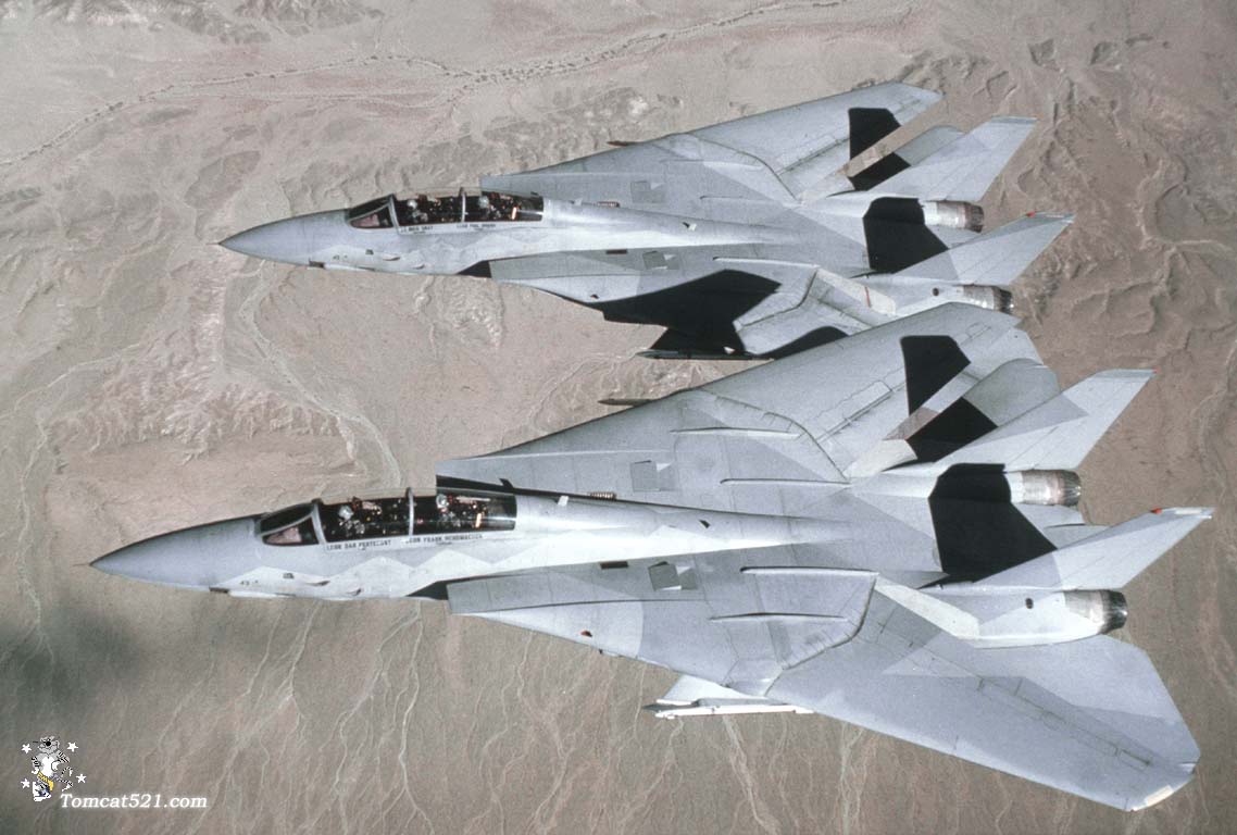 VF-1_F-14A.jpg