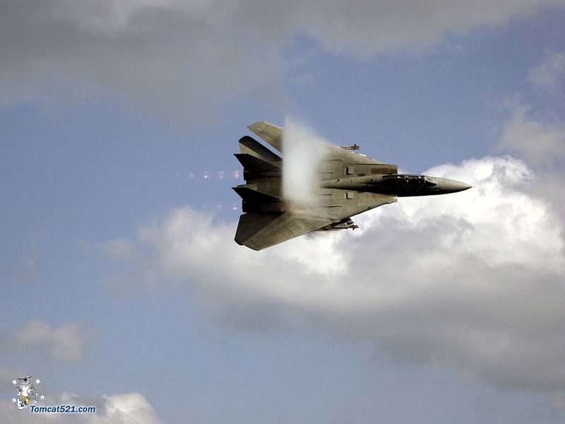 F-14D(18).jpg