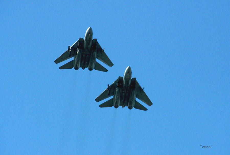 F-14(7).jpg