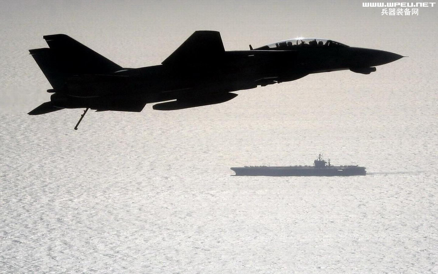F-14D(6).jpg