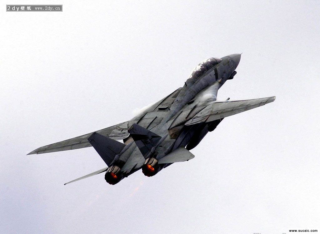 VF-2_F-14D_111.jpg