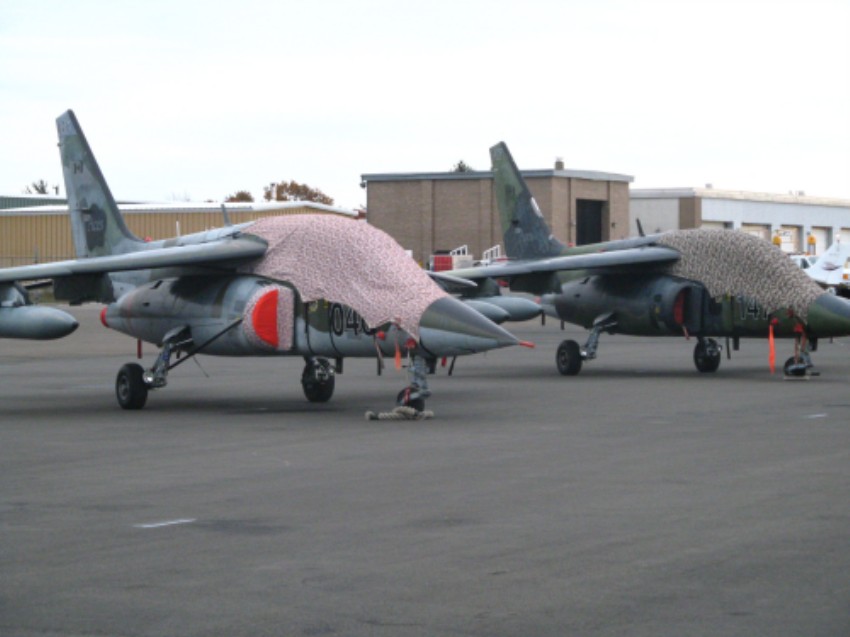 IMG_0095_conew1.jpg