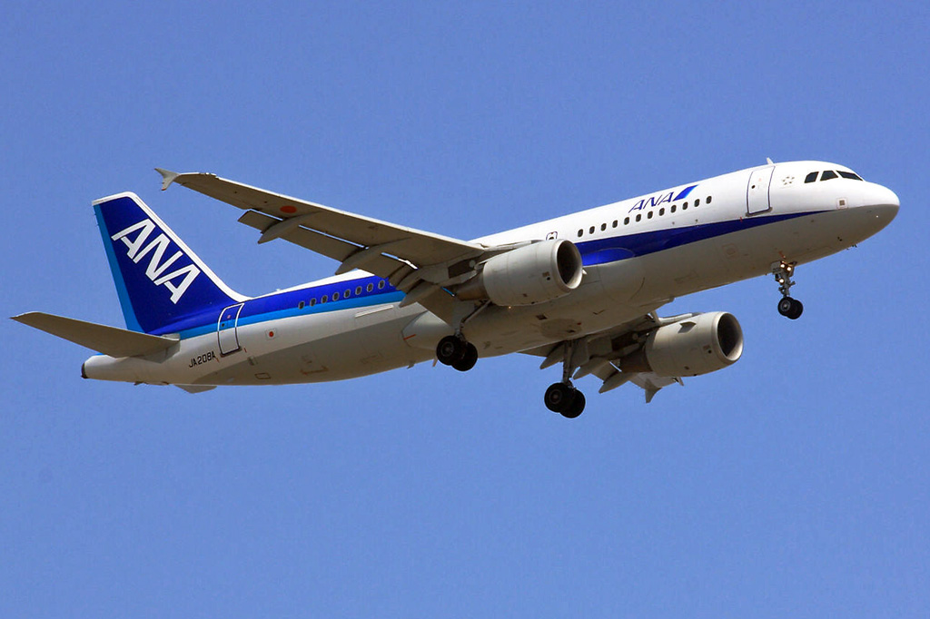 ANA320.jpg