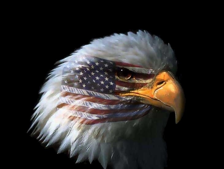 EagleLogo.jpg