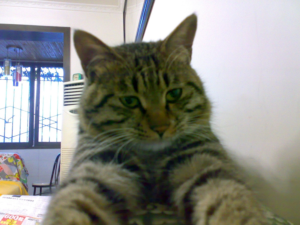20100121324.jpg