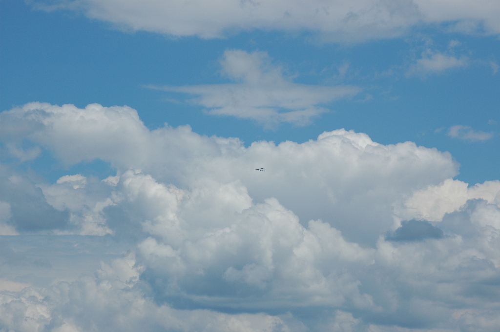 DSC_0103.JPG