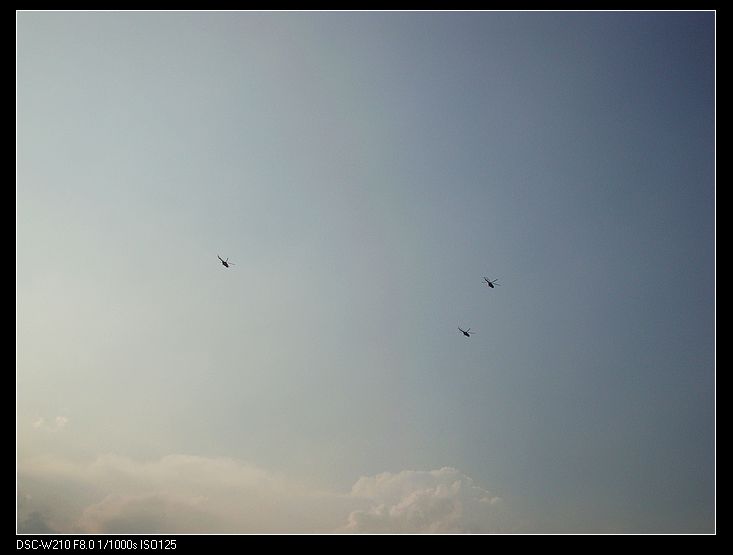 DSC00565.jpg
