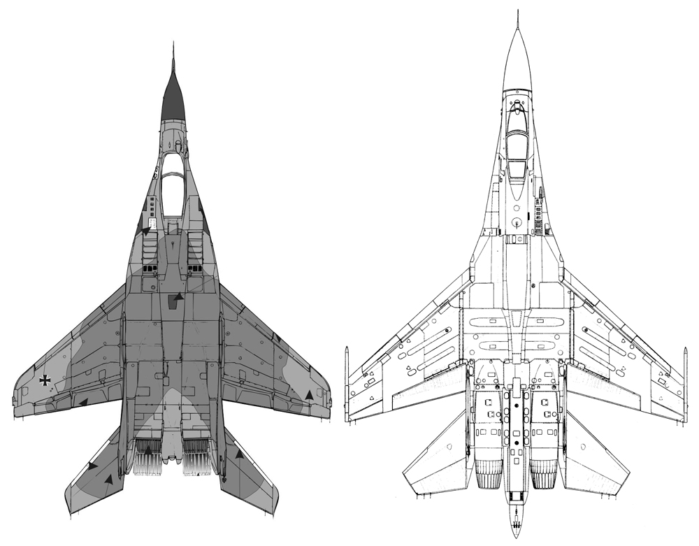 δ-1.jpg