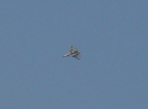 DSC03176-1.jpg