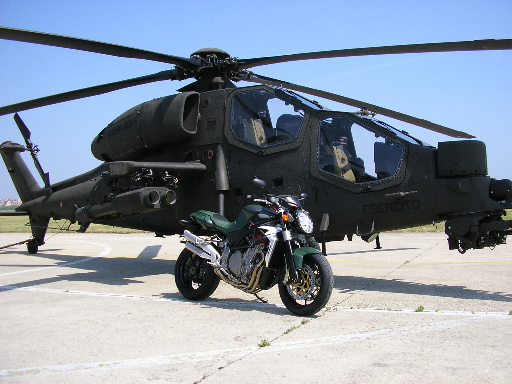 p1010206dw8.jpg